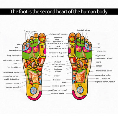 Electric EMS Foot Massage Machine